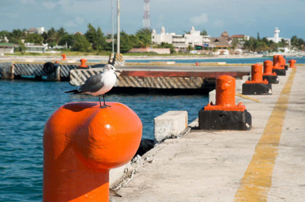 Puerto Morelos - APIQROO - Administración Portuaria Integral de Quintana Roo