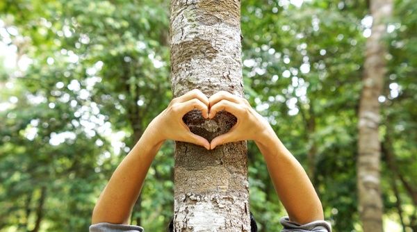 dia_mundial_del_medio_ambiente-jpg_1029256313