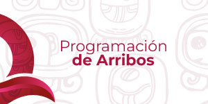 prog_arribos